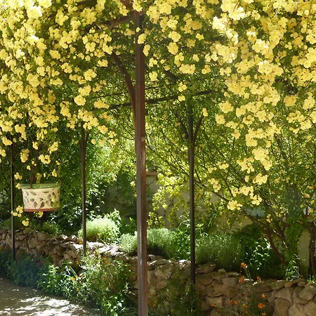 Bed & Breakfast La Ferme Du Petit Segries Moustiers-Sainte-Marie