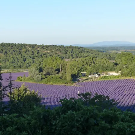 Bed & Breakfast La Ferme Du Petit Segries 3*