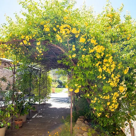 La Ferme Du Petit Segries Bed & Breakfast Moustiers-Sainte-Marie