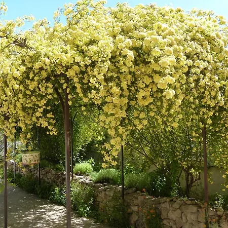 Bed & Breakfast La Ferme Du Petit Segries