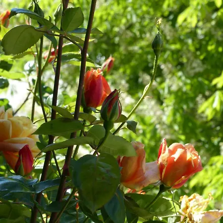La Ferme Du Petit Ségriès