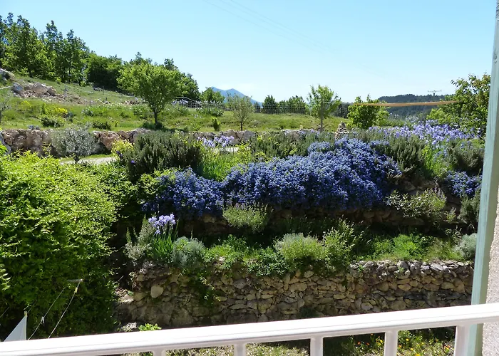 La Ferme Du Petit Segries Bed & Breakfast Moustiers-Sainte-Marie