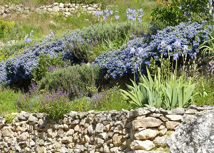 La Ferme Du Petit Segries Bed & Breakfast 3*