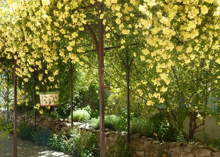 Bed & Breakfast La Ferme Du Petit Segries Moustiers-Sainte-Marie